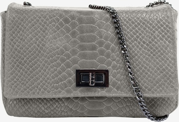 Cluty Crossbody Bag in Grey: front