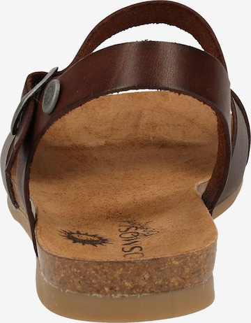 COSMOS COMFORT Sandals in Brown