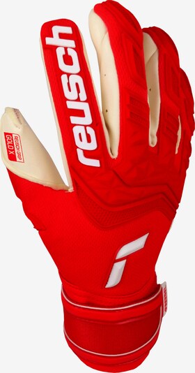 REUSCH Handschuh in weiß, Produktansicht