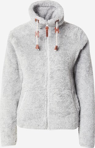 ICEPEAK Athletic fleece jacket 'COLONY' in Grey: front