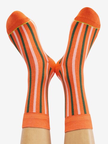 CHEERIO* Κάλτσες 'JINGLE SCHLINGLES' σε ανάμεικτα χρώματα: μπροστά