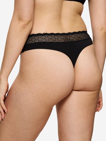 TRIUMPH String 'Feel of Modal'‌‌ in Schwarz