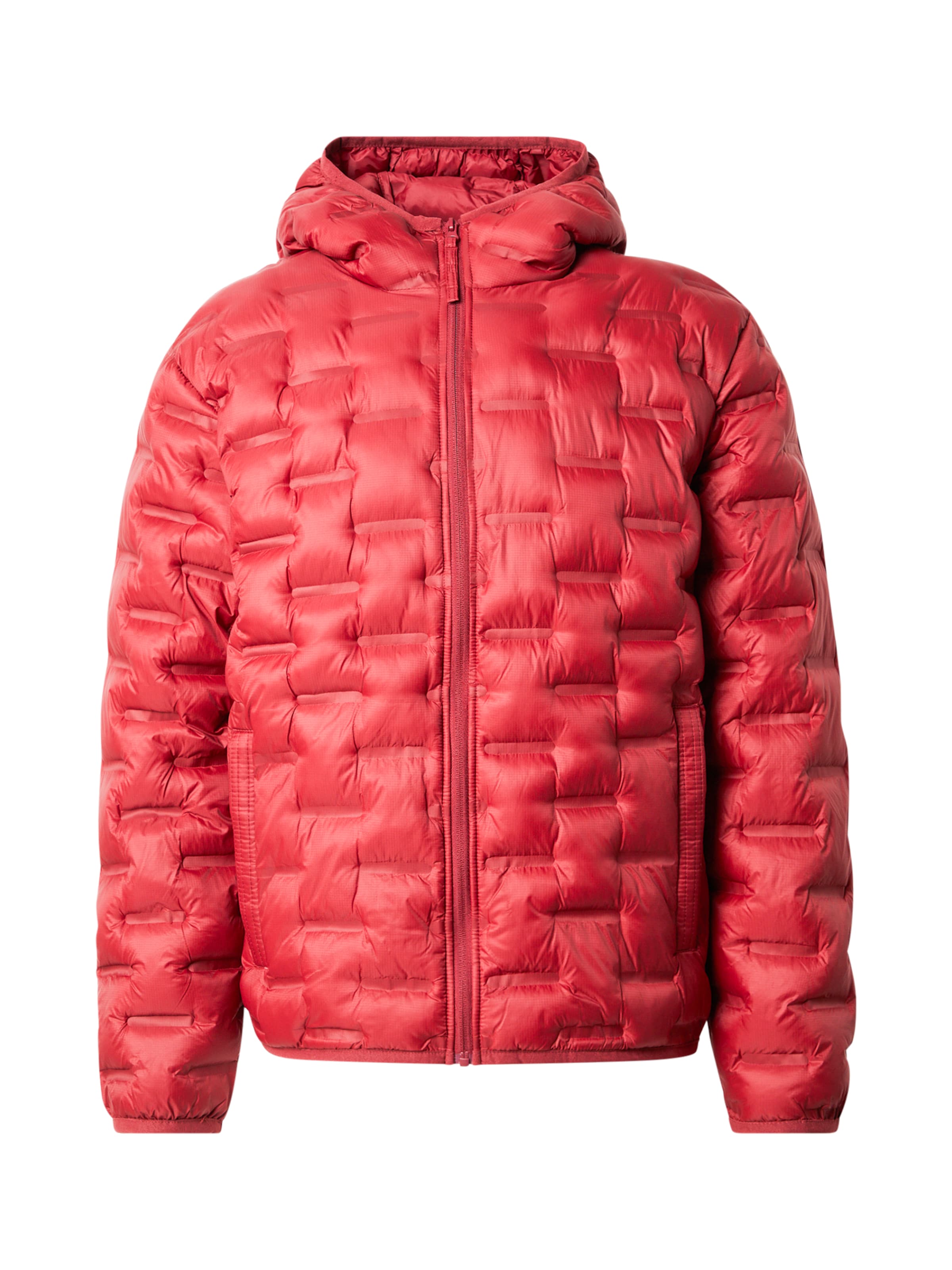 Kinderjacken Rot Winterjacke Hollister Winterjacke Rot Hollister