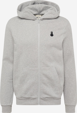 Ocay Zip-Up Hoodie in Grey: front