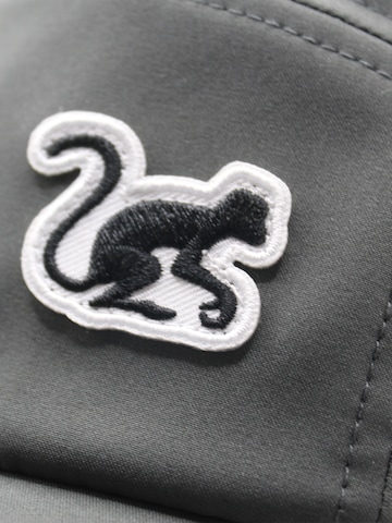Surf Monkey - Gorra deportiva en gris