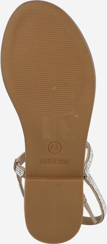 STEVE MADDEN Sandalen met riem 'Transport-R' in Grijs