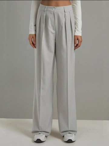 Hiccup Pleated Pants in Grey: front