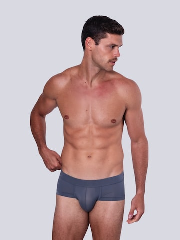 TAUWELL Panty in Grey