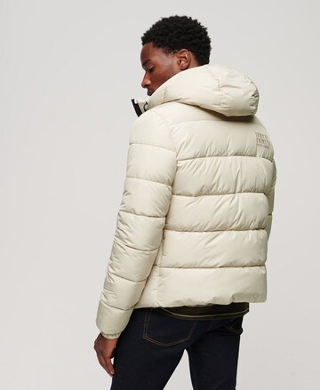 Superdry Winter Jacket in Beige