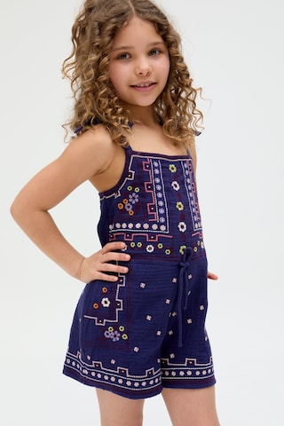 RAFFYA Jumpsuit in Blau: Vorderseite