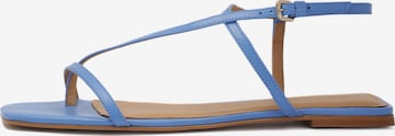 Kazar T-Bar Sandals in Blue: front