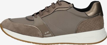 GEOX Sneaker in Braun