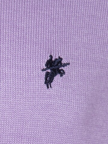 DENIM CULTURE Sweater 'Ottorino' in Purple