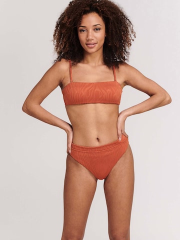 Bandeau Bikini 'LOLA' Shiwi en marron : devant