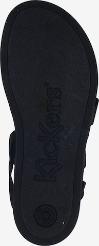 Kickers Strap Sandals in Black