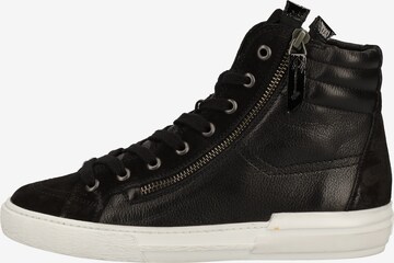 Paul Green Sneaker in Schwarz