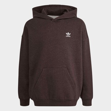 ADIDAS ORIGINALS Sweatshirt in Braun