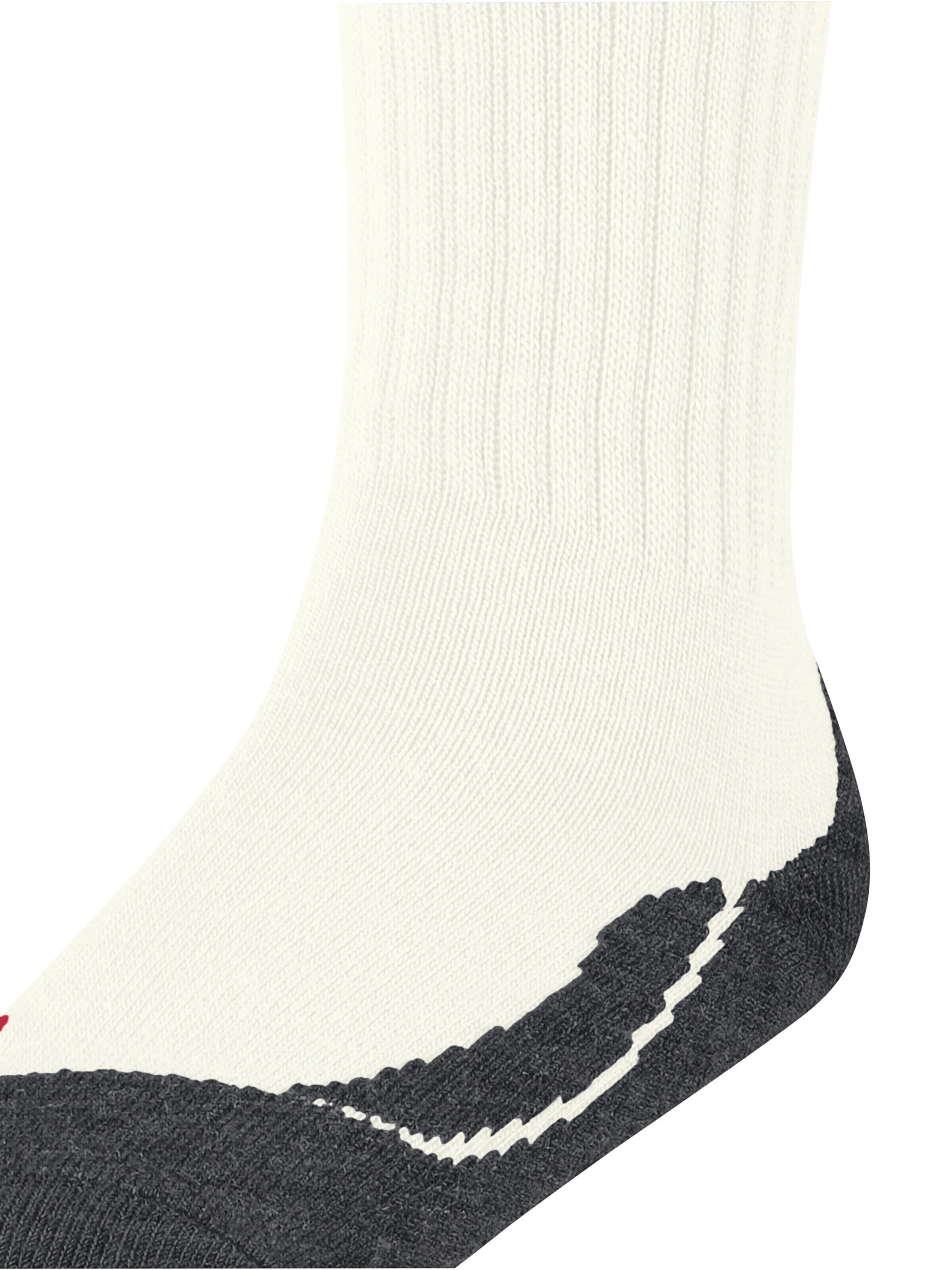 FALKE Socks 'Active Warm' in White