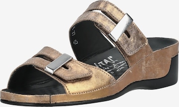 Mule vital en bronze : devant