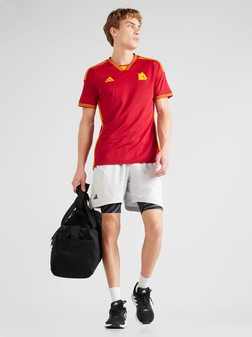 ADIDAS PERFORMANCE Tricot 'As Roma 23/24 Home' in Rood