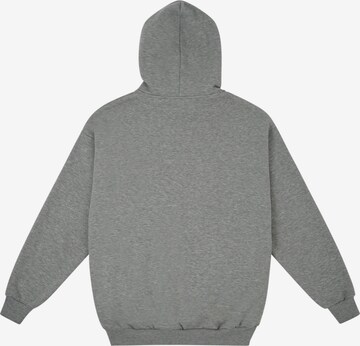 HOMEBOY Sweatshirt 'Monster' in Grau