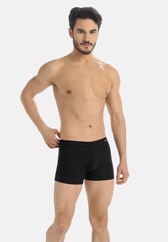 TEYLI Boxer shorts in Black
