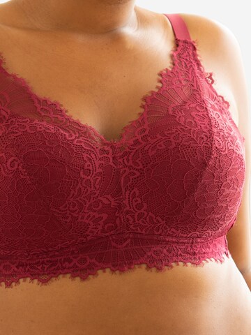 SugarShape Bustier BH 'Sensla' in Rot