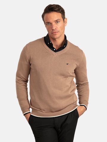 Williot Sweater in Brown: front