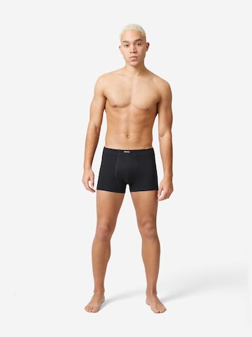 SNOCKS Boxershorts in Mischfarben