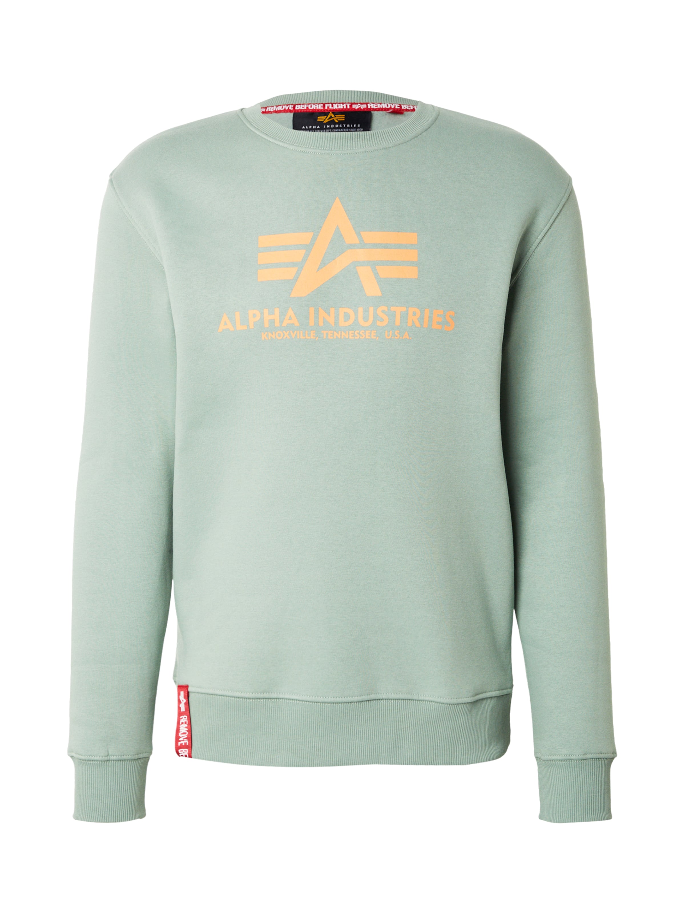 Felpa di ALPHA INDUSTRIES in verde: frontale