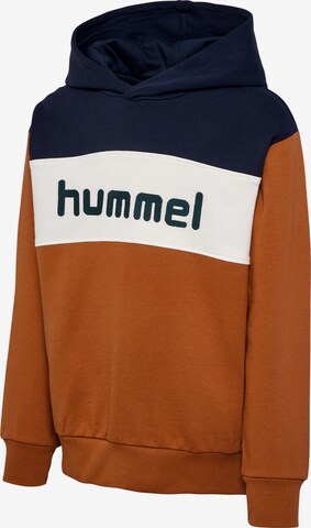 Hummel Sweatshirt in Brown