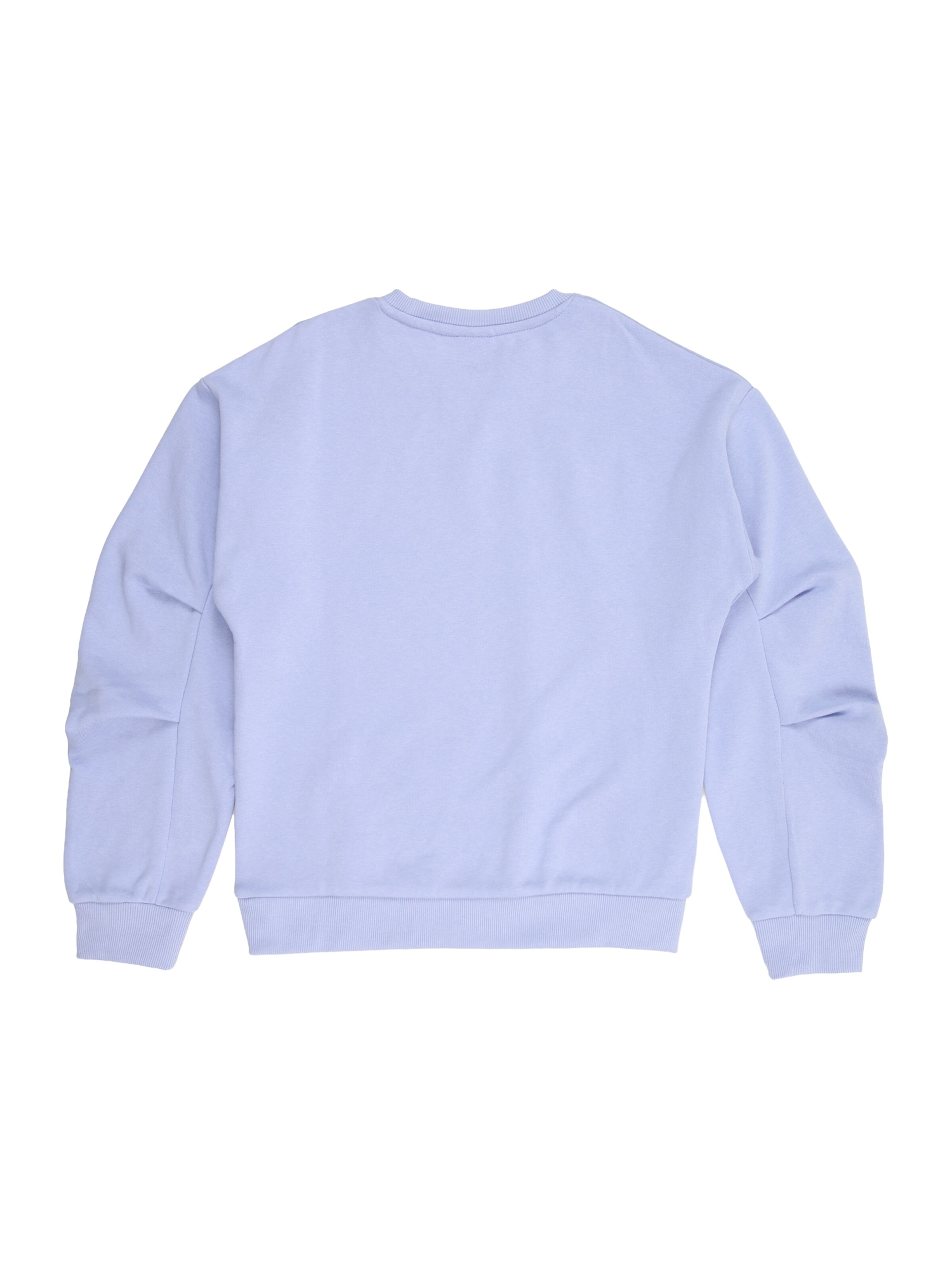 NAME IT Sweatshirt 'NKFPTAROUND' i lilla