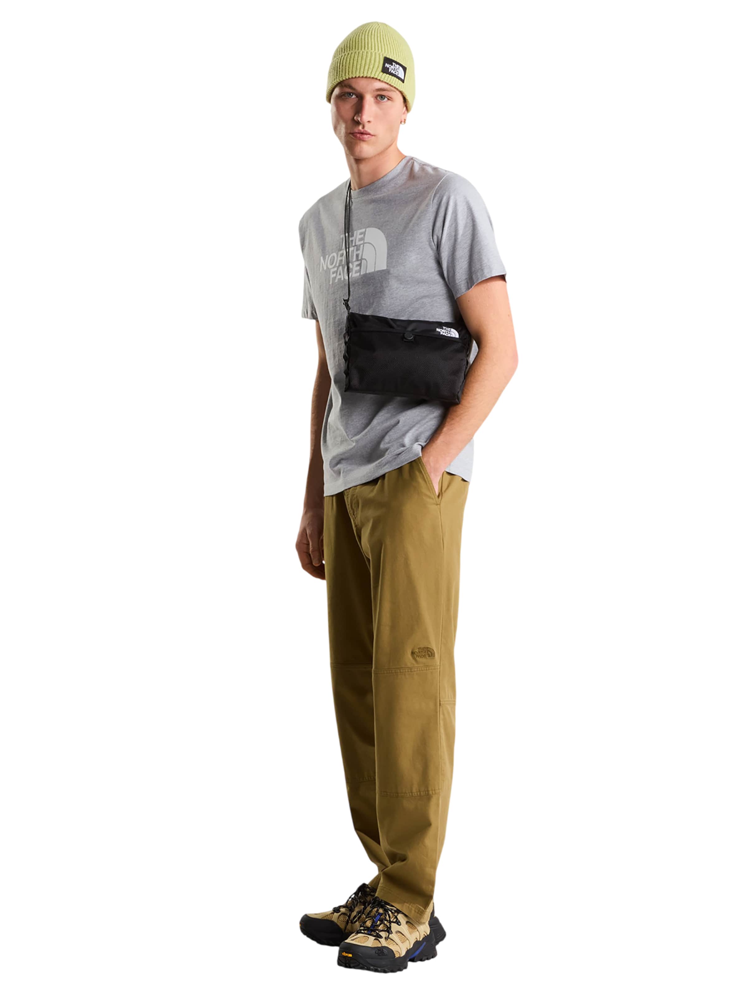 THE NORTH FACE Shirt 'Evolution Half Dome Regular' in Grey