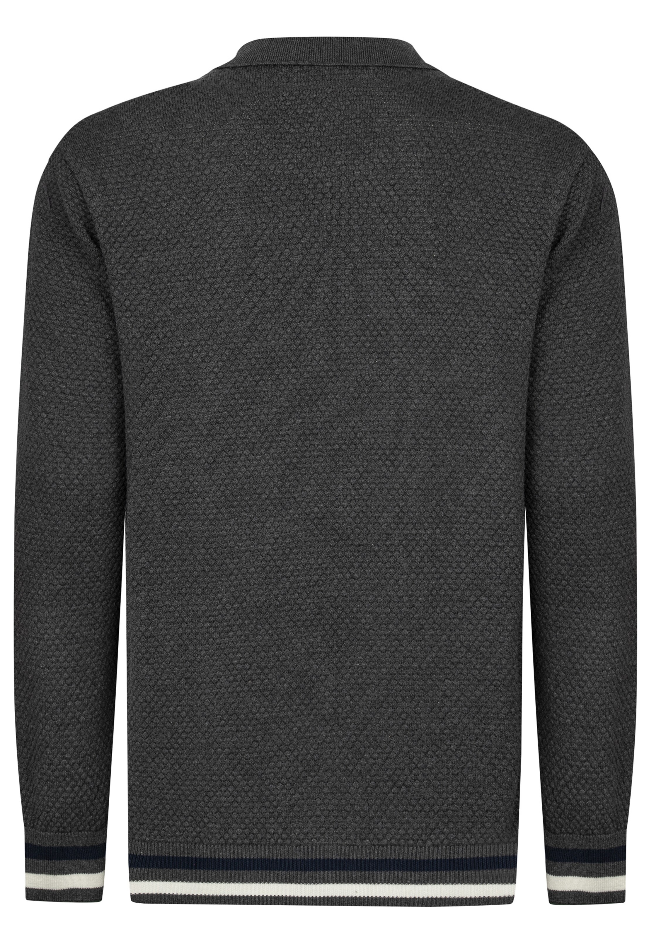 Felix Hardy Pullover in Grau
