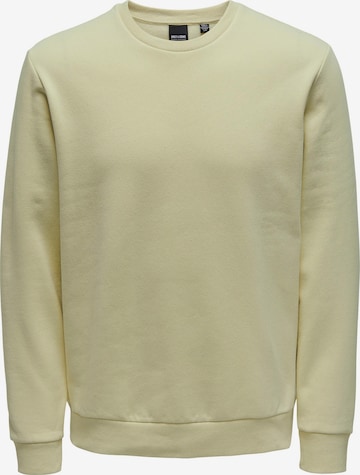 Only & Sons Sweatshirt 'Ceres' i grå: forside