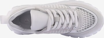 D.MoRo Shoes Sneaker in Weiß