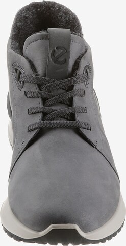 Chaussure à lacets ECCO en gris