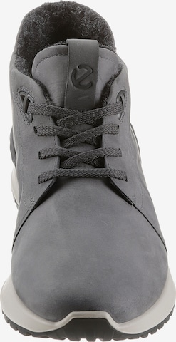 ECCO - Sapato com atacadores em cinzento