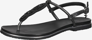 MEXX T-Bar Sandals in Black: front