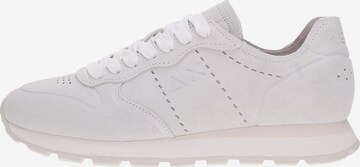 Sneaker bassa 'Sun68 Sneakers Z36103' di SUN68 in bianco: frontale
