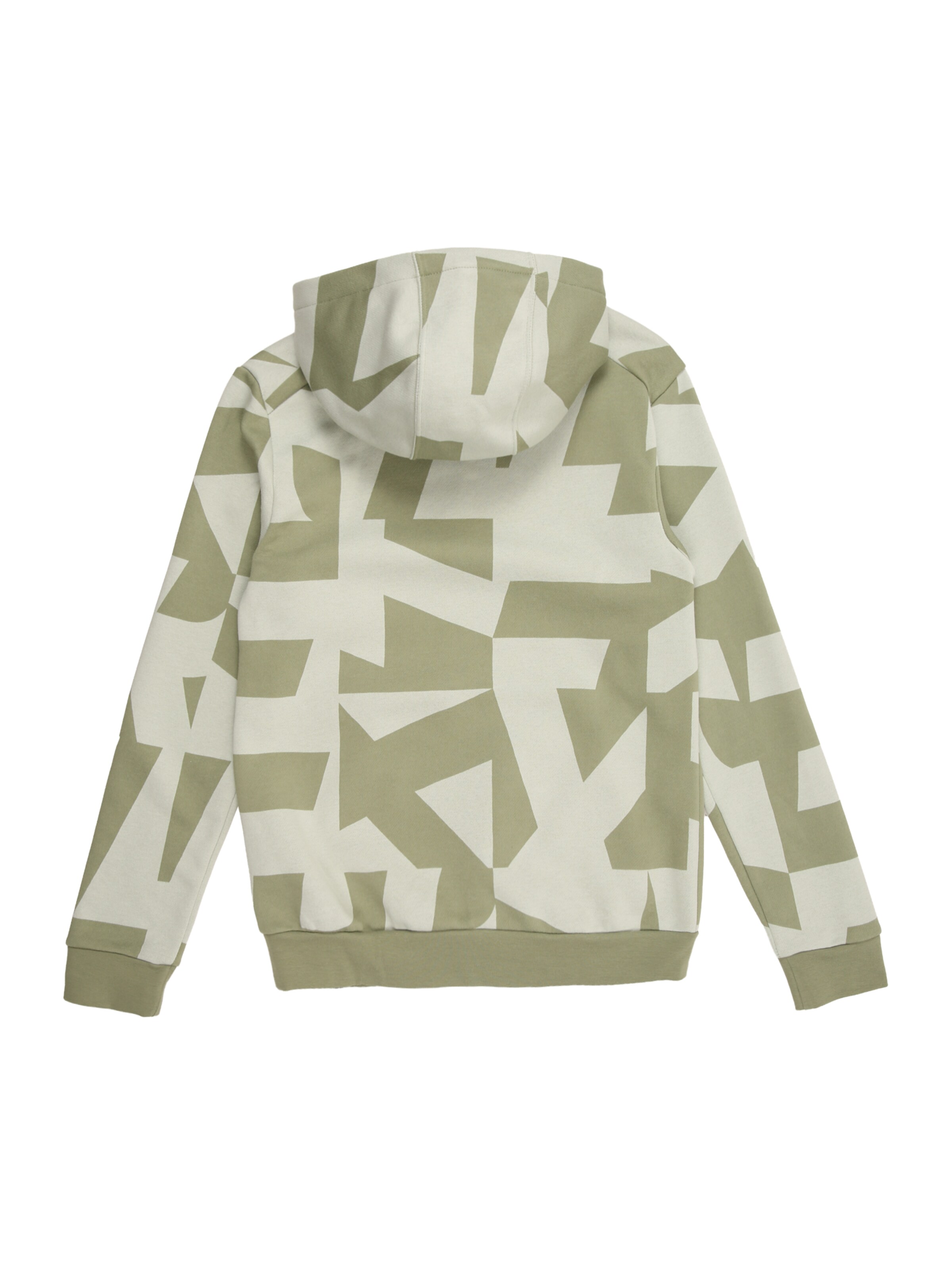 ADIDAS TERREX Športna majica | zelena barva