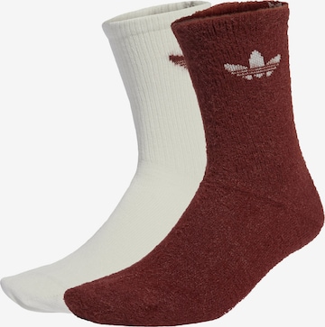 Chaussettes 'Fluffy Crew Sock 2 Pairs' ADIDAS ORIGINALS en marron : devant