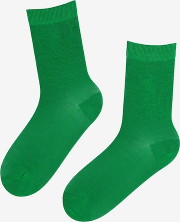 Sokisahtel Sokken in Groen: voorkant