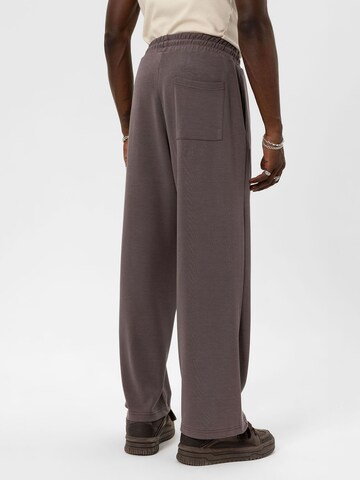 Loosefit Pantaloni 'Japanese Anemone' di VAMOS CLO in marrone