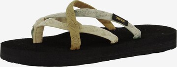 TEVA T-Bar Sandals 'Olowahu' in Mixed colors: front