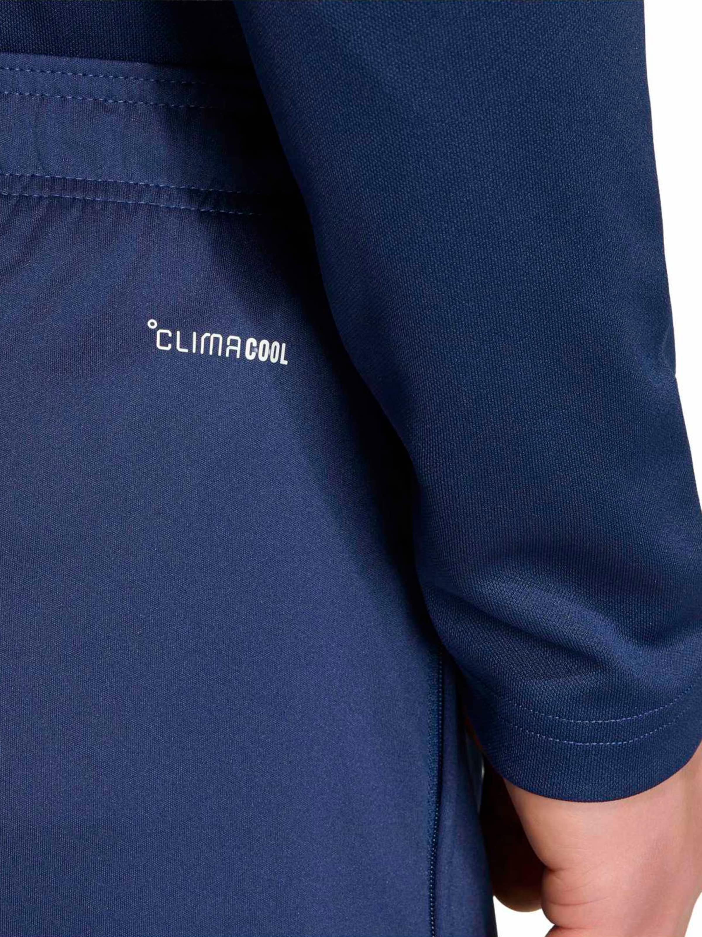 ADIDAS PERFORMANCE - regular Pantalón deportivo 'ENT26' en azul