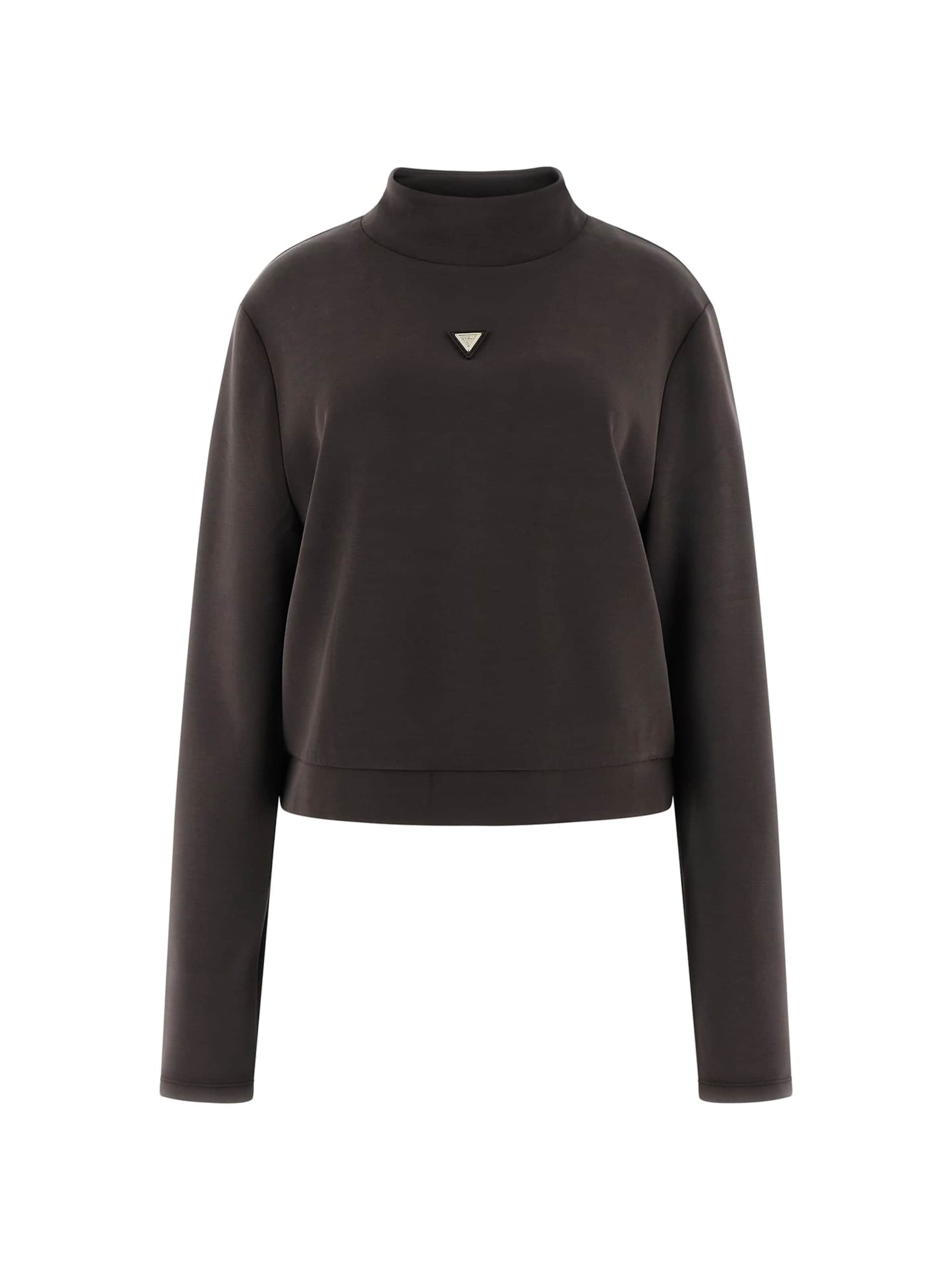 GUESS Sweatshirt in Brown: front