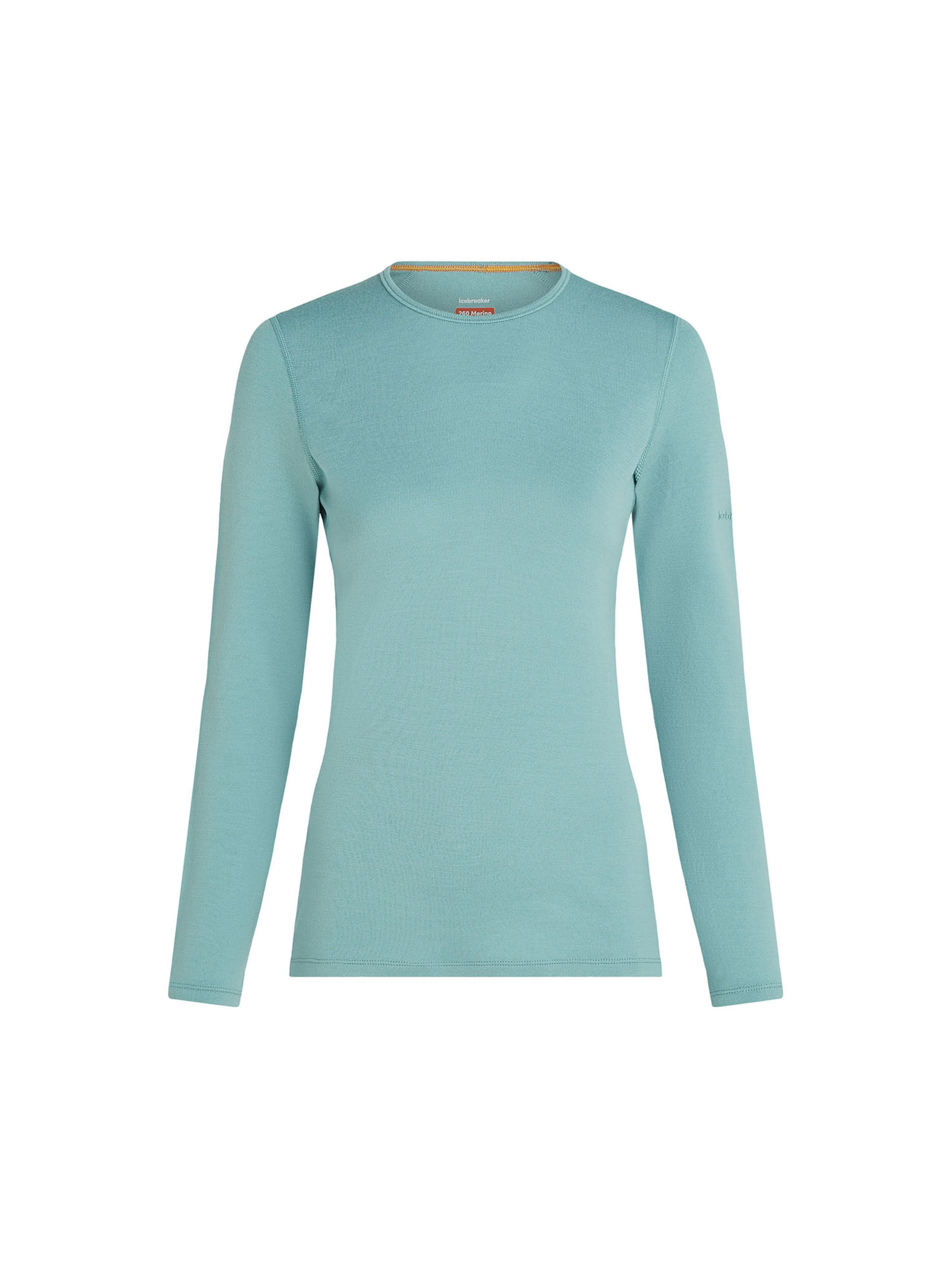 ICEBREAKER Funkční tričko '260 Tech' – zelená: přední strana