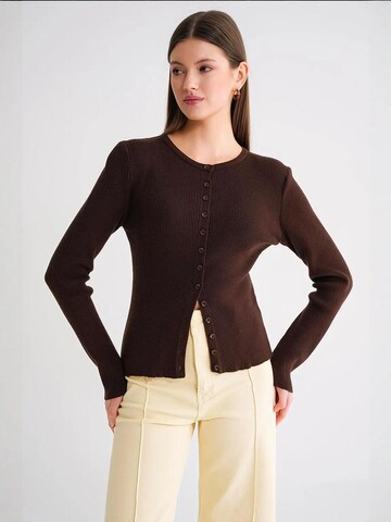 Giacchetta di MixRay in marrone