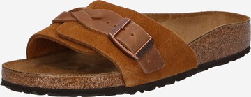 Mule 'OITA LEVE' BIRKENSTOCK en marron : devant